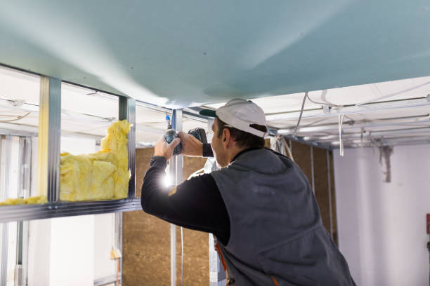Best Energy Efficiency Solutions in North Muskegon, MI