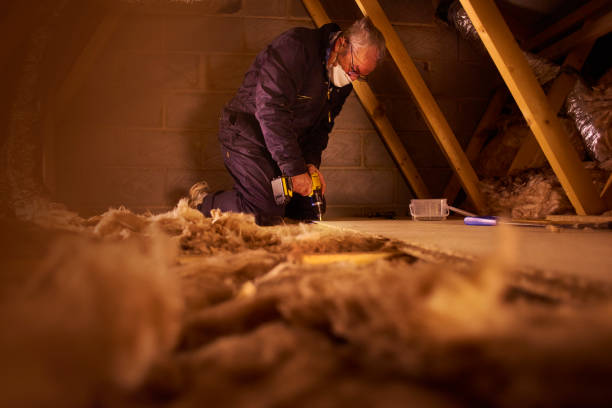 Best Insulation Installation Services in North Muskegon, MI